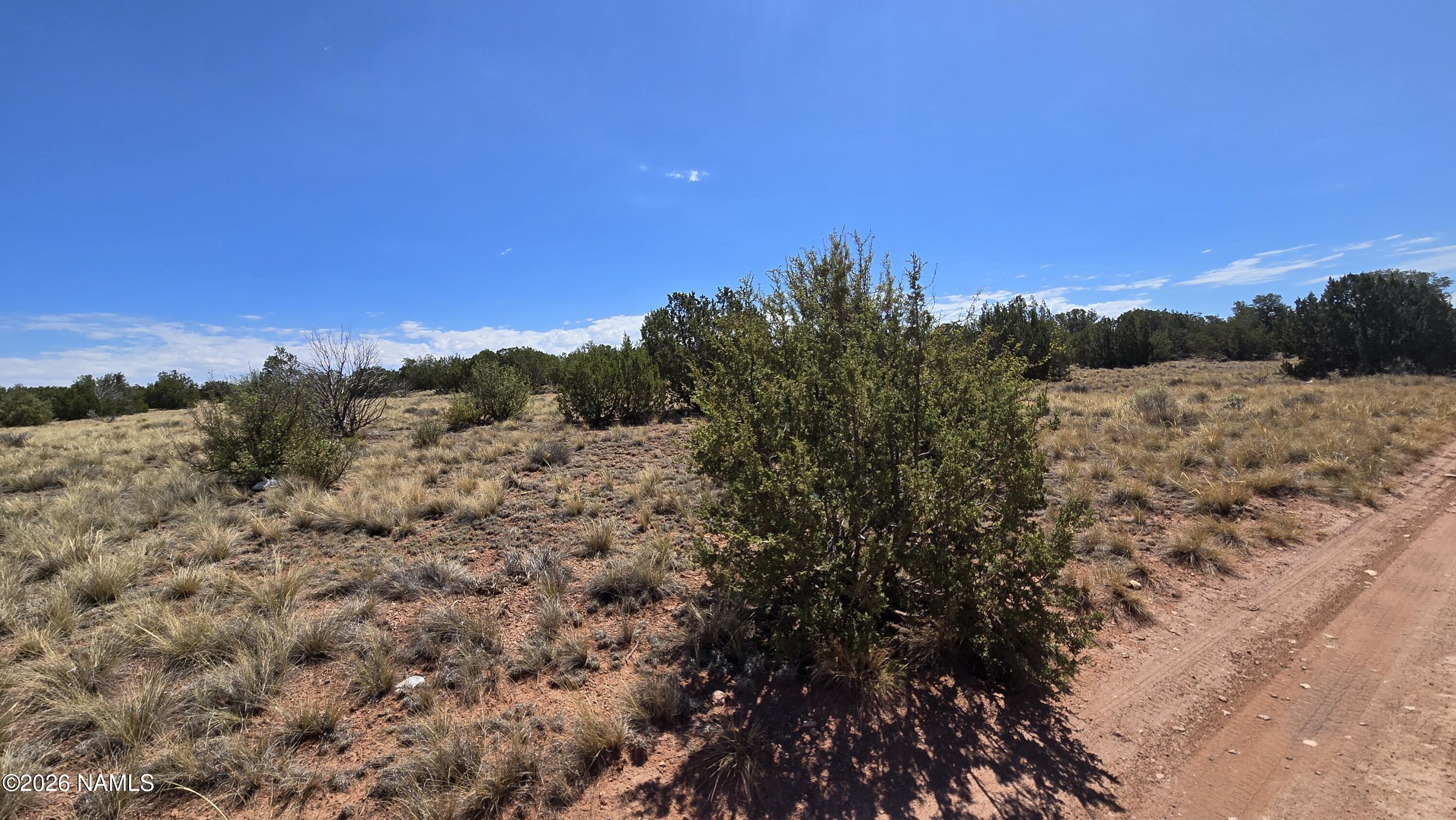 3711 Wingfield Road Williams, AZ 86046 - Photo 12 of 21 20260802_105003