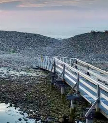 a view of a field with an ocean