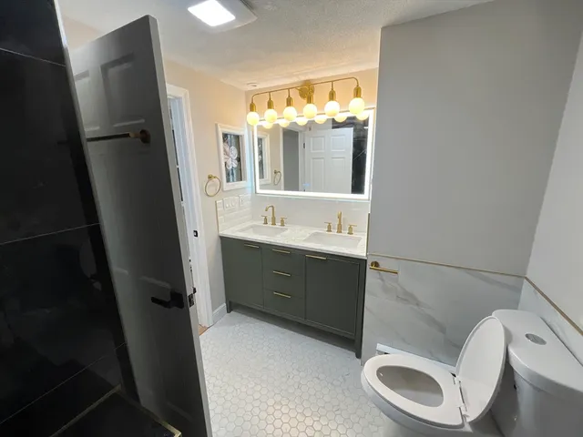 a bathroom with a sink mirror vanity and toilet