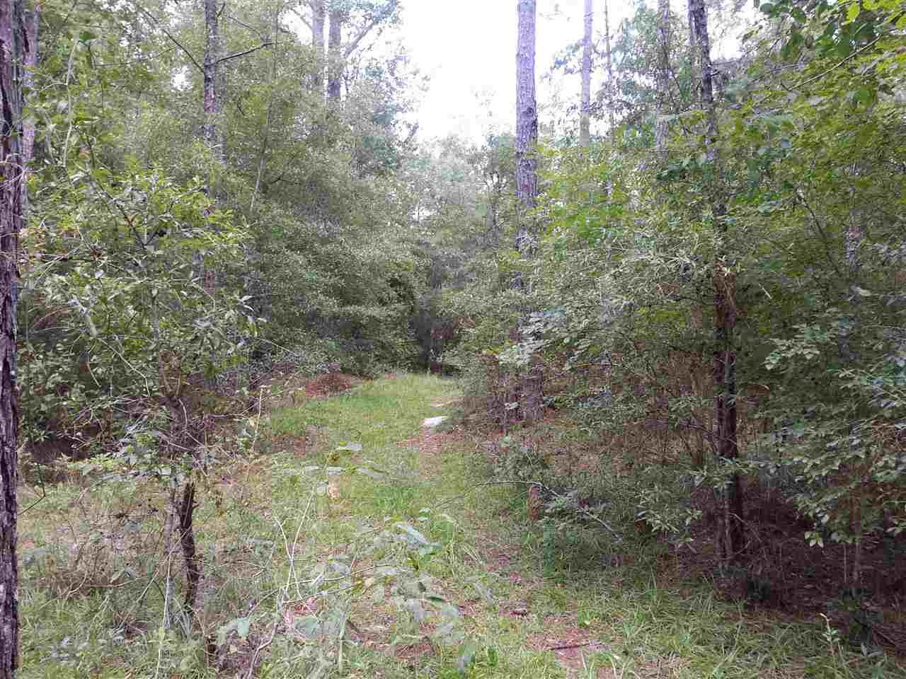960 Oak Ridge Road East Tallahassee, FL 32305 - Photo 7 of 23 Gallery Image 7