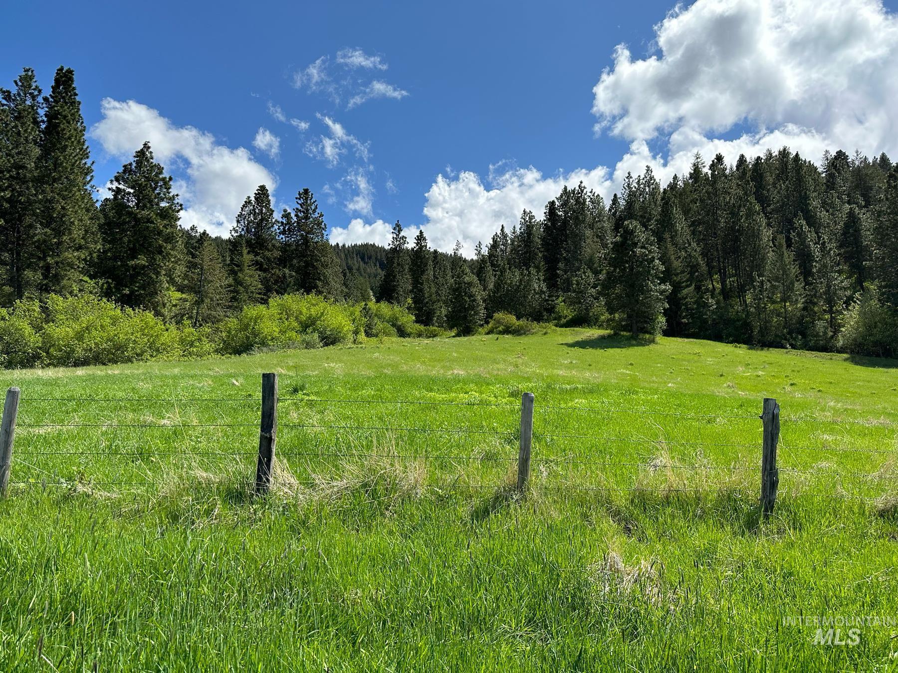 Tbd Slickpoo Road Culdesac, ID 83524 - Photo 11 of 14