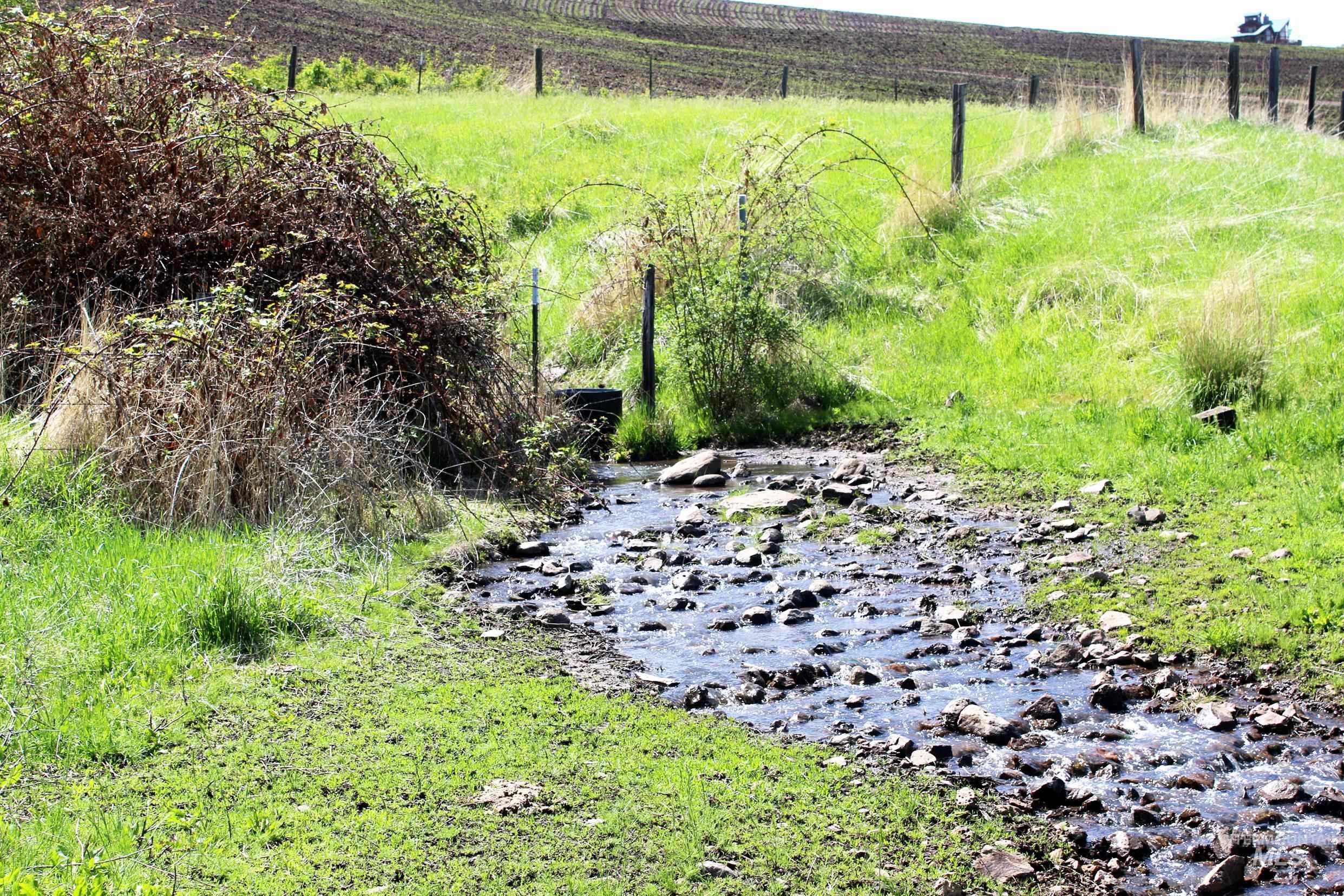 Tbd Slickpoo Road Culdesac, ID 83524 - Photo 12 of 14