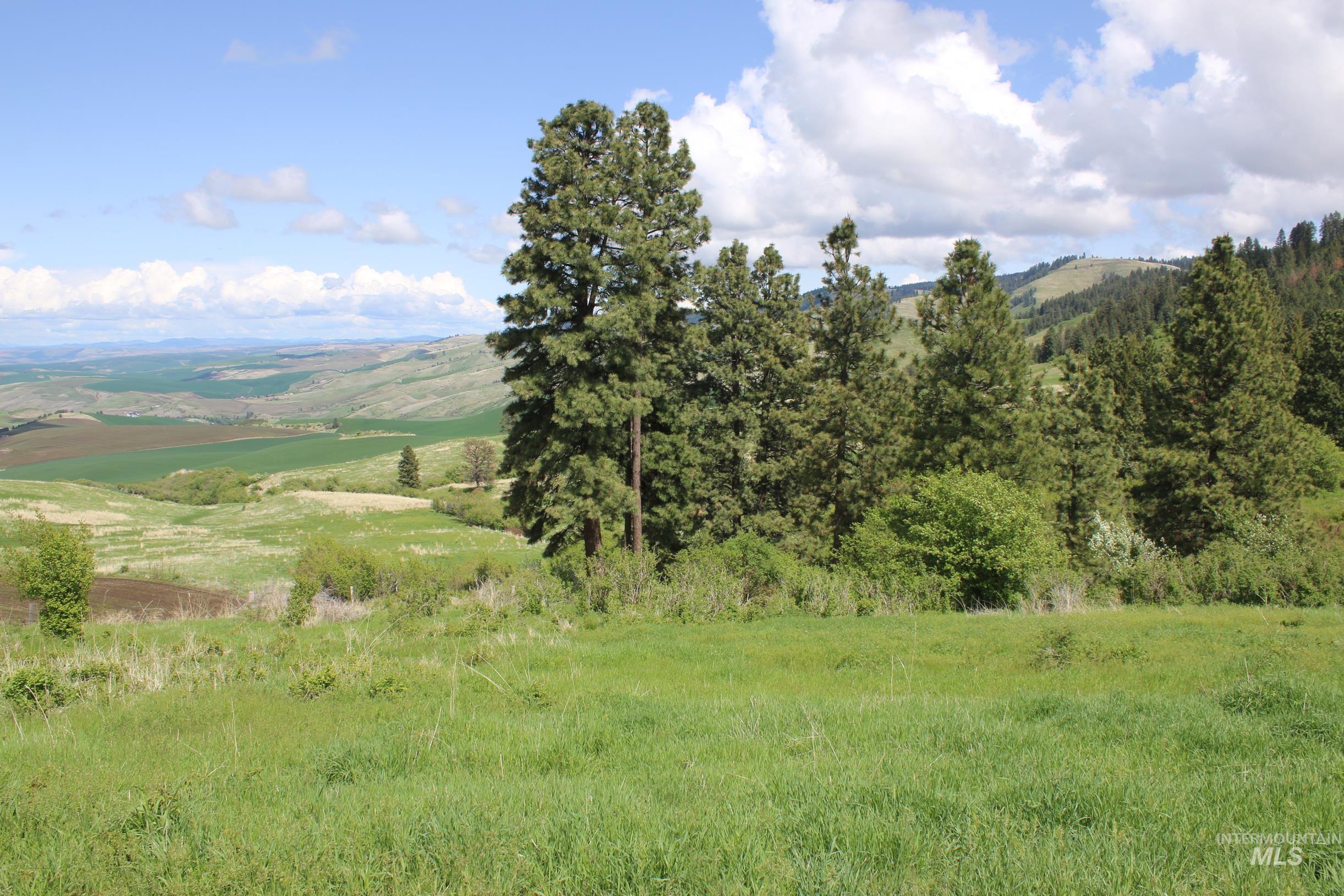 Tbd Slickpoo Road Culdesac, ID 83524 - Photo 13 of 14