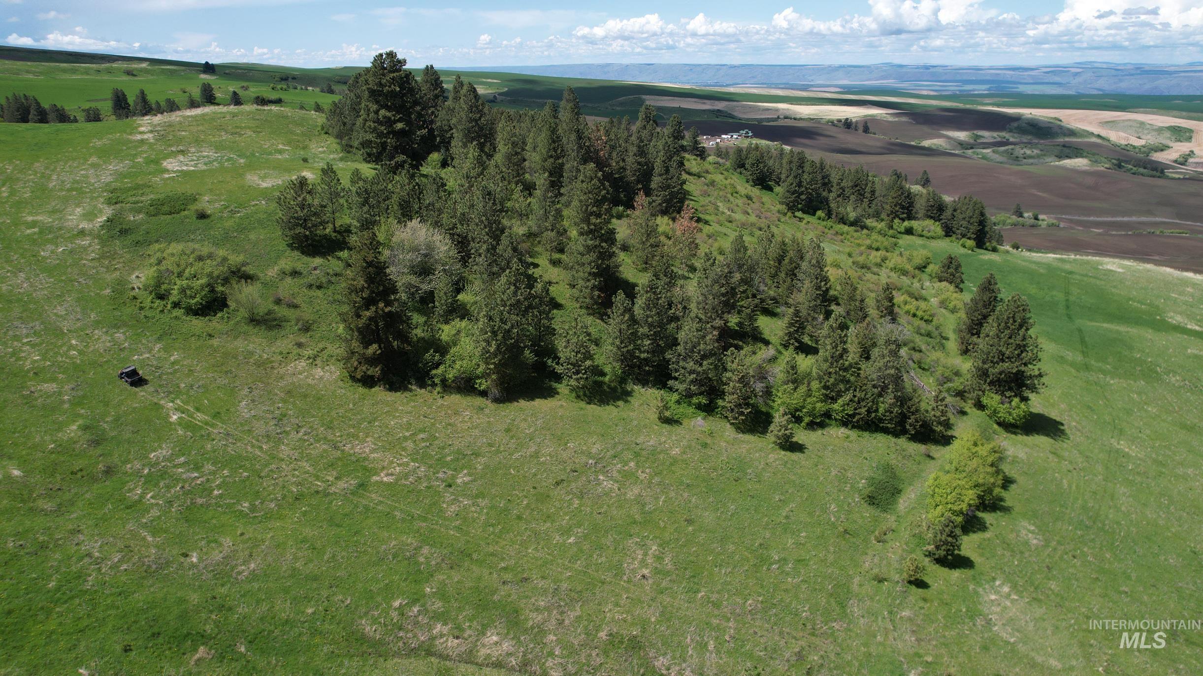 Tbd Slickpoo Road Culdesac, ID 83524 - Photo 2 of 14