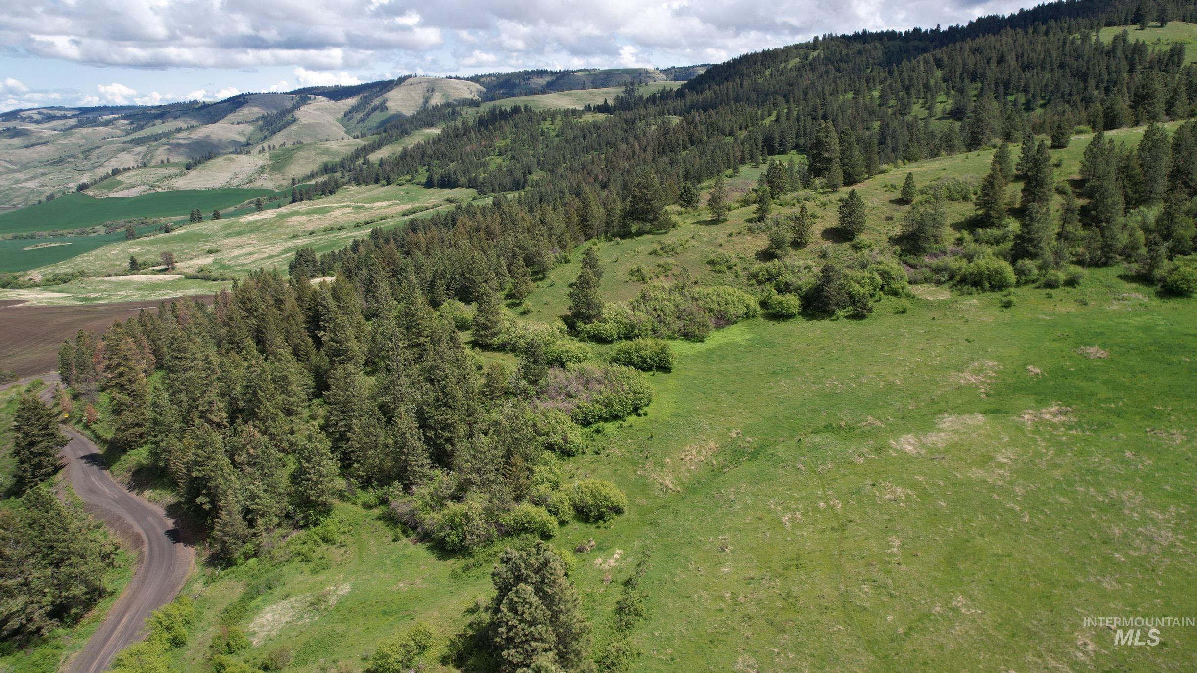 Tbd Slickpoo Road Culdesac, ID 83524 - Photo 4 of 14
