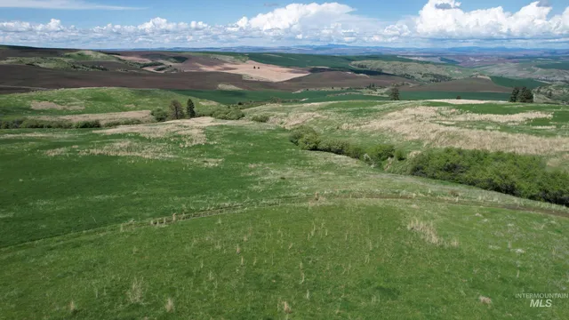 $2,350,000 | Tbd Slickpoo Road, Culdesac, ID 83524