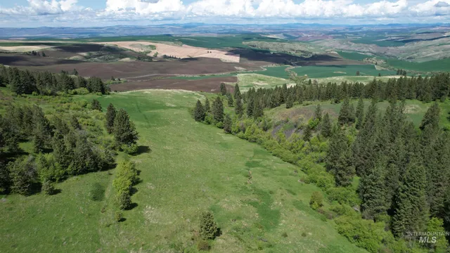 $2,350,000 | Tbd Slickpoo Road, Culdesac, ID 83524