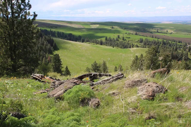 $2,350,000 | Tbd Slickpoo Road, Culdesac, ID 83524