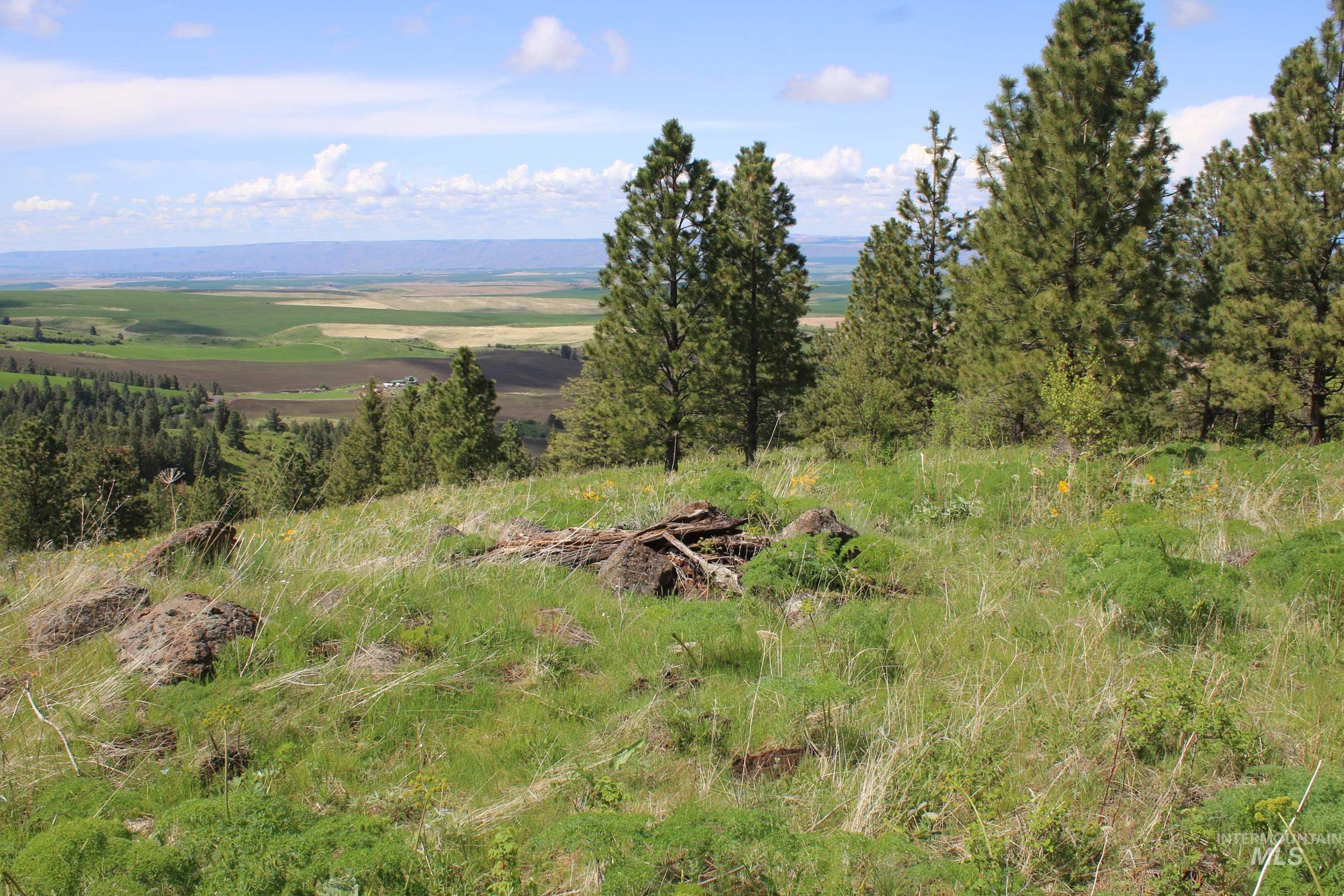 Tbd Slickpoo Road Culdesac, ID 83524 - Photo 10 of 14