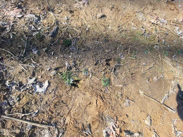 $72,000 | 18 Acres Smart Road, Como, MS 38619