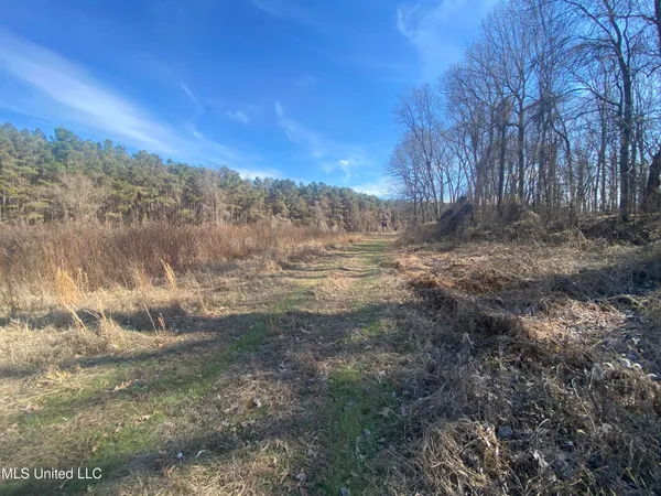 $72,000 | 18 Acres Smart Road, Como, MS 38619