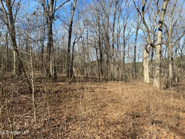 $72,000 | 18 Acres Smart Road, Como, MS 38619