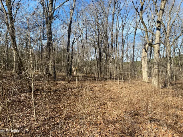 $76,000 | 18 Acres Smart Road, Como, MS 38619