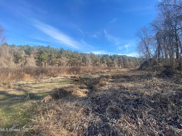 $72,000 | 18 Acres Smart Road, Como, MS 38619