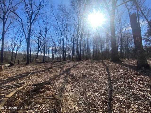 $76,000 | 18 Acres Smart Road, Como, MS 38619