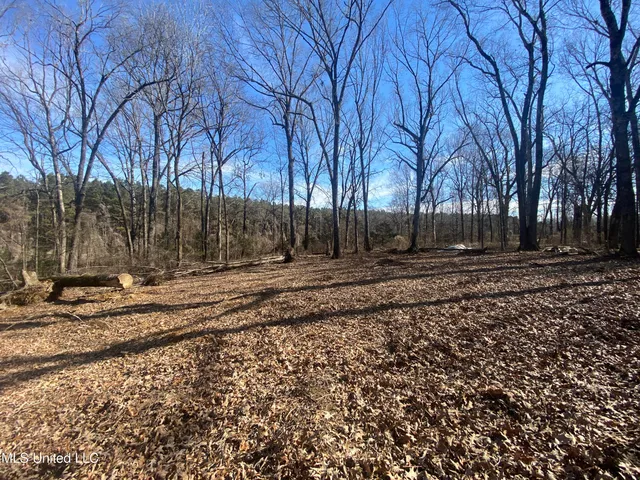 $76,000 | 18 Acres Smart Road, Como, MS 38619