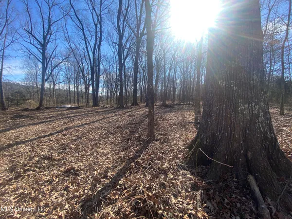 $72,000 | 18 Acres Smart Road, Como, MS 38619