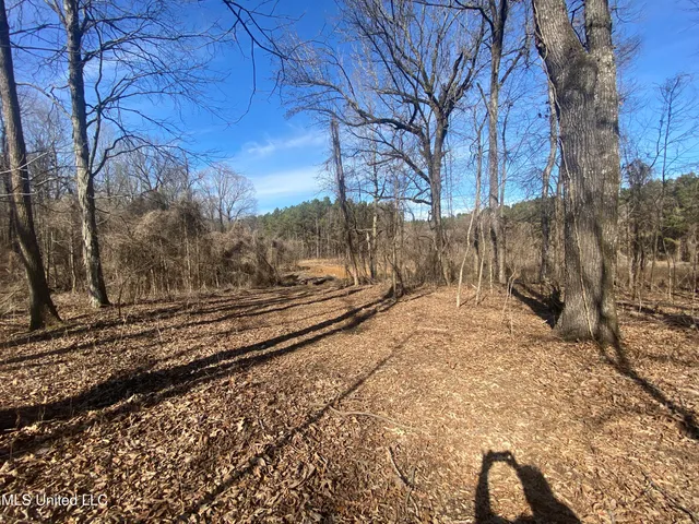 $76,000 | 18 Acres Smart Road, Como, MS 38619