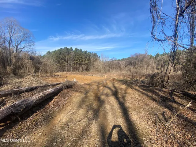 $76,000 | 18 Acres Smart Road, Como, MS 38619