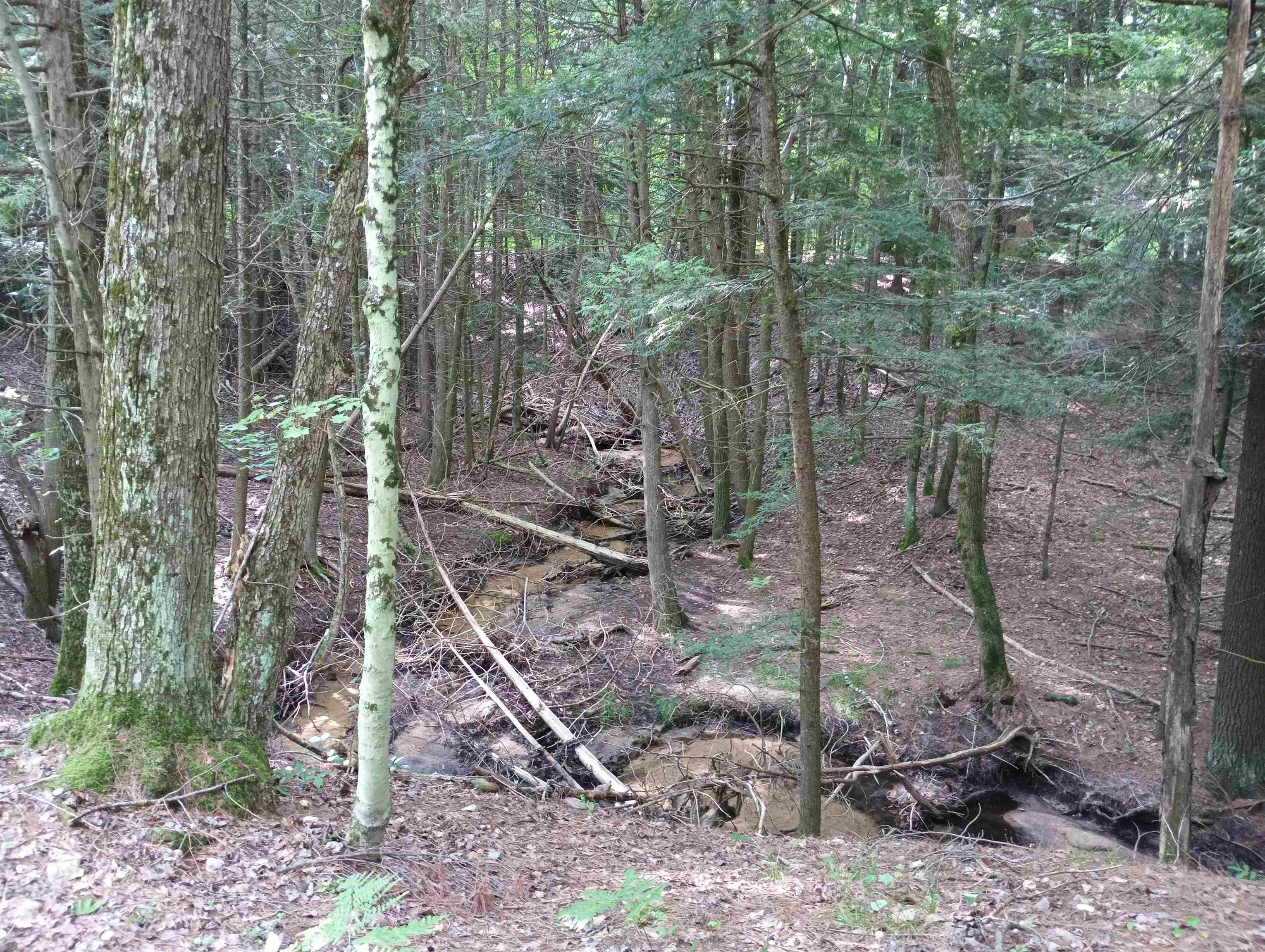 48 West 48 1/2 Road Wellston, MI 49689 - Photo 17 of 17 1948446-ba346bf3-8cbb-4df5-9fec-75845a117e50.JPG