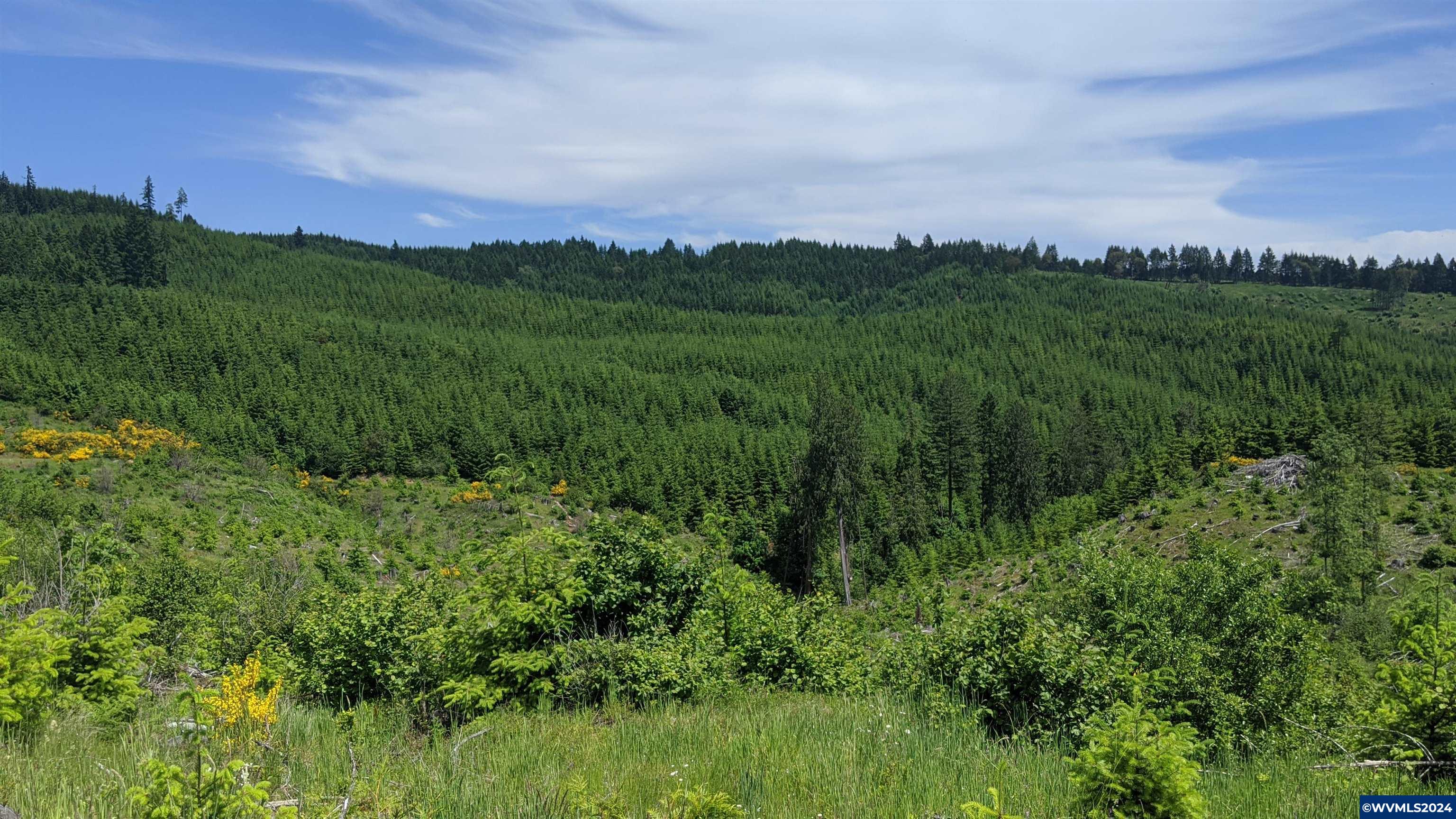 Northwest Timmerman Road Forest Grove, OR 97116 - Photo 1 of 12