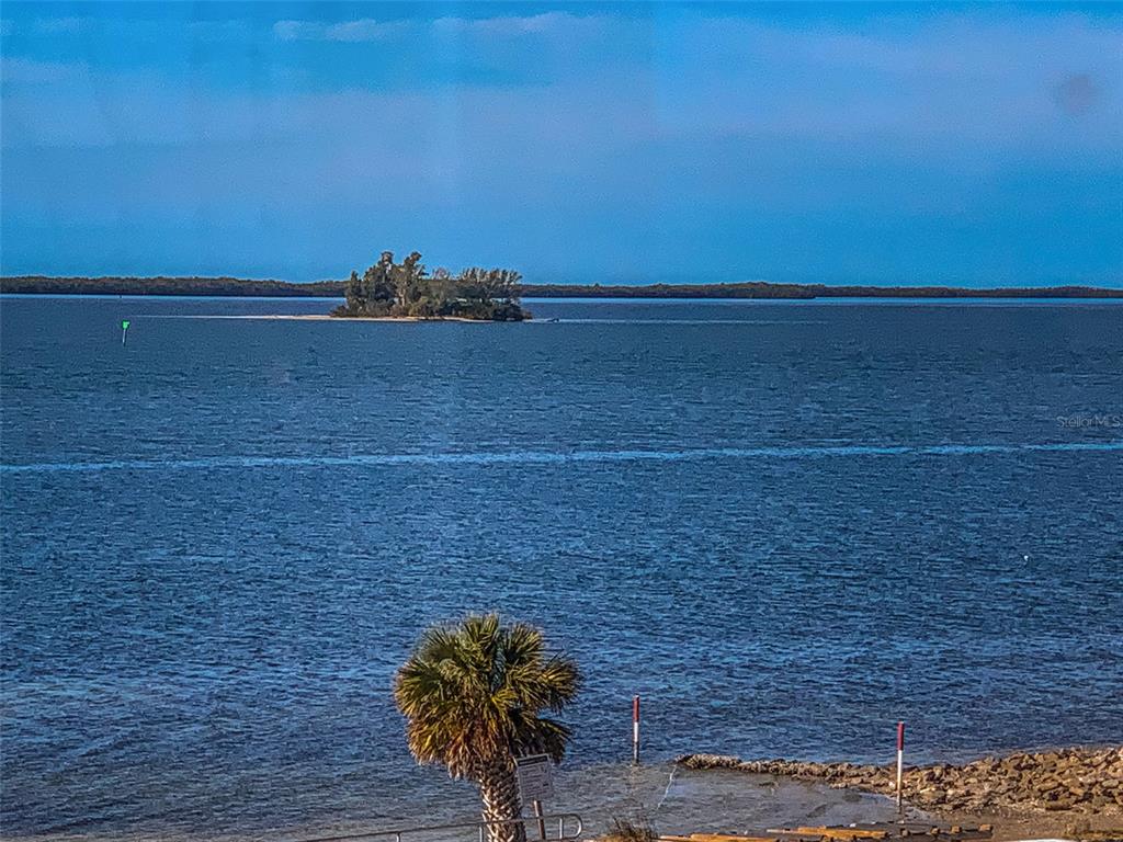 634 Edgewater Drive, Unit 447 Dunedin, FL 34698 - Photo 11 of 53 a bathroom with a shower