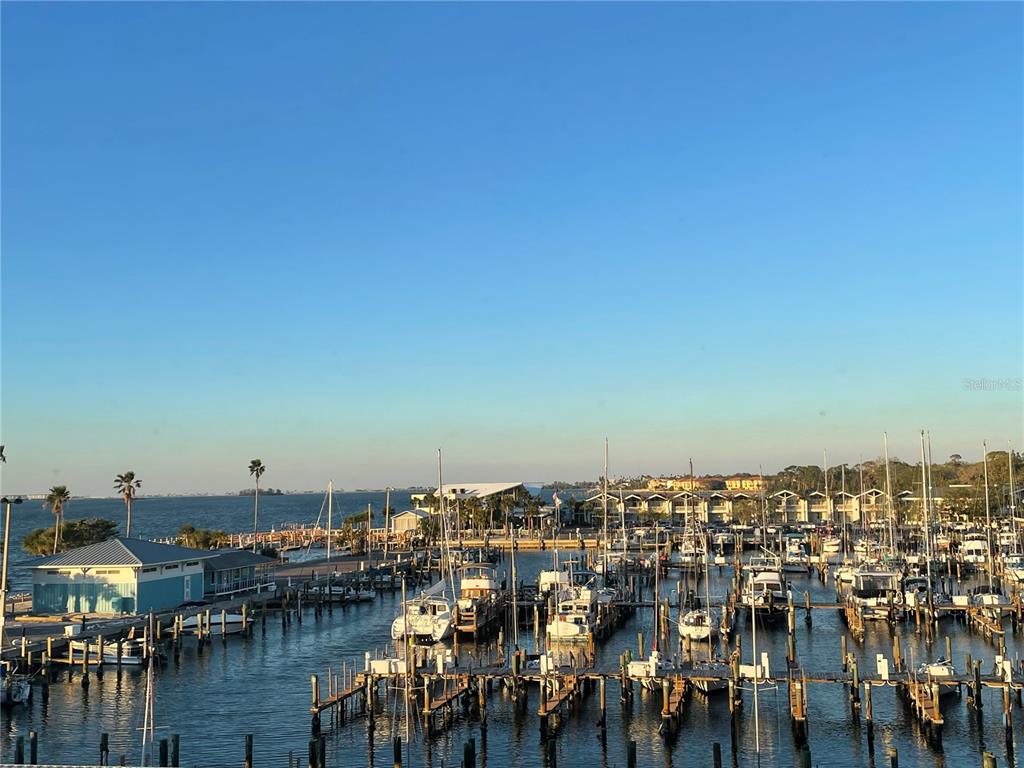 634 Edgewater Drive, Unit 447 Dunedin, FL 34698 - Photo 9 of 53 a view of a city