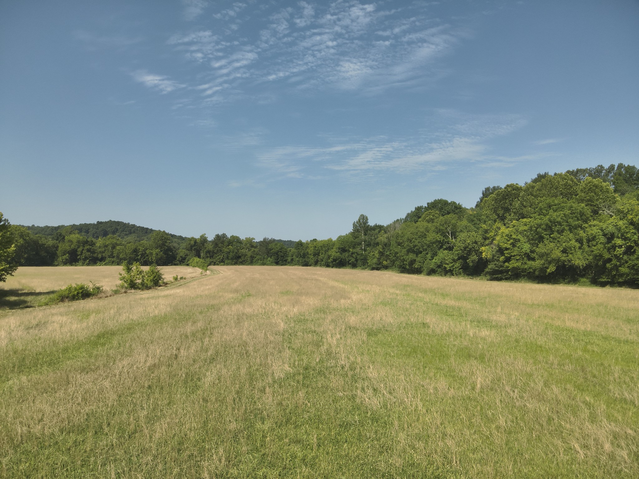 0 Culps Bend Road Clifton, TN 38425 - Photo 3 of 41