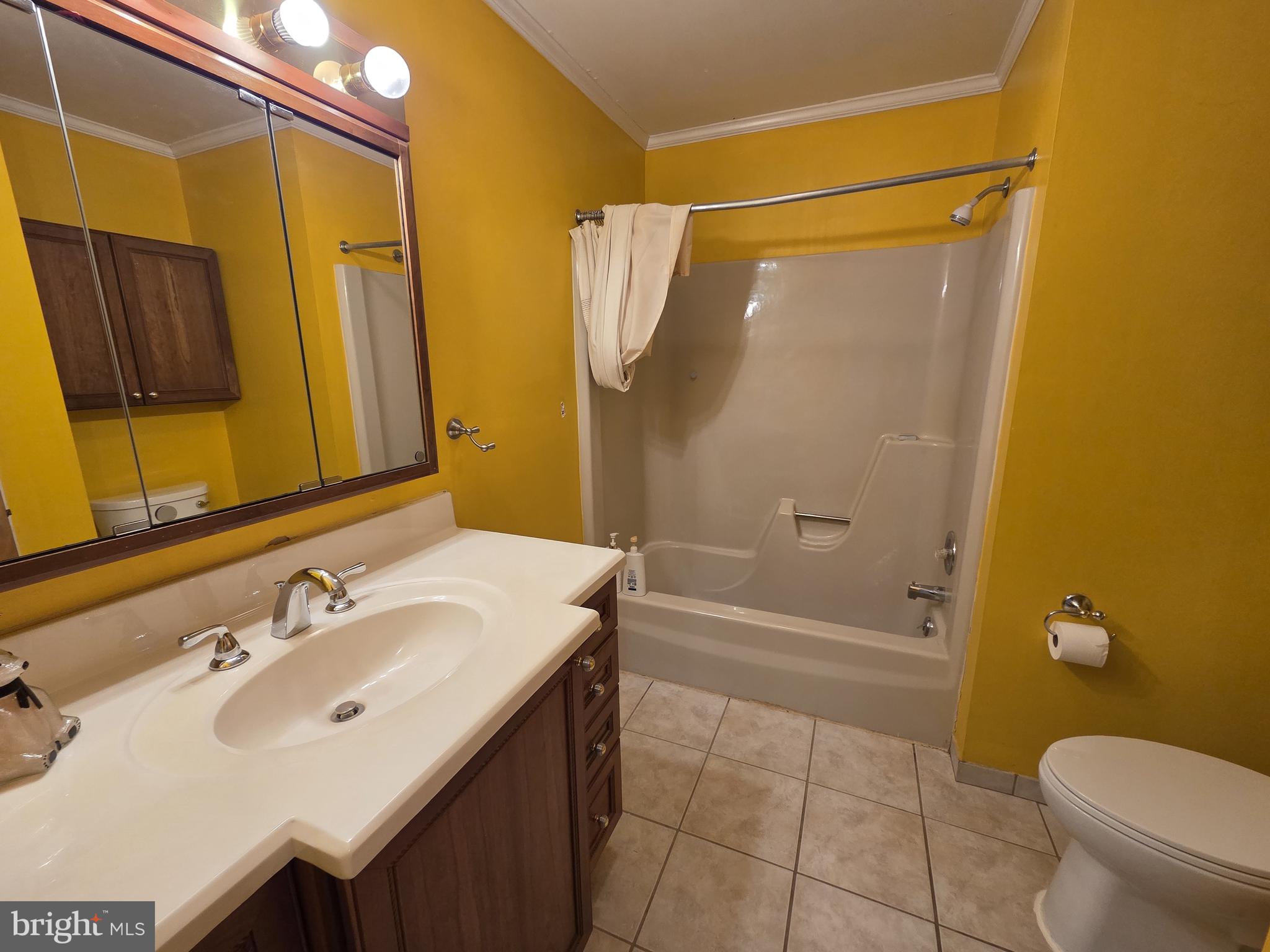 1028 Blackbird Landing Road Townsend, DE 19734 - Photo 12 of 30 a bathroom with a sink toilet and shower