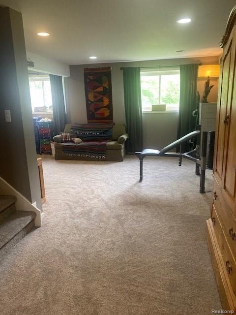 4910 Clements Circle Howell, MI 48855 - Photo 10 of 17 Basement