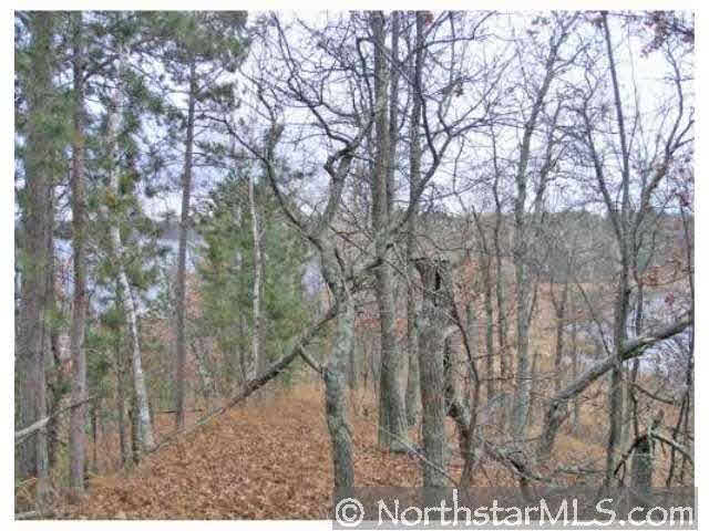 0 East Bass Lake Road Gordon, WI 54859 - Photo 6 of 10 Gallery Image 6