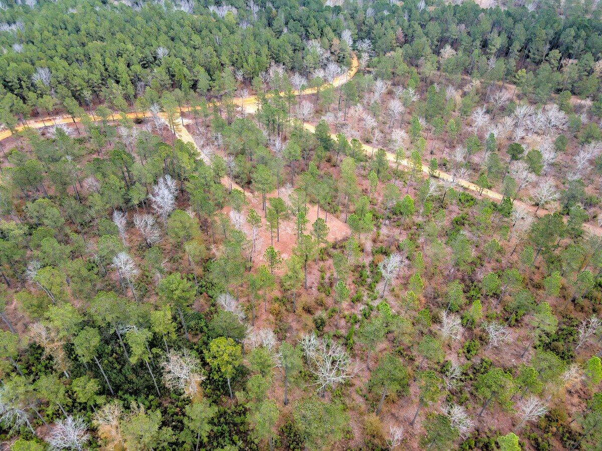 0 Deer Run Road, Unit F2 Williston, SC 29853 - Photo 20 of 24 Gallery Image 20