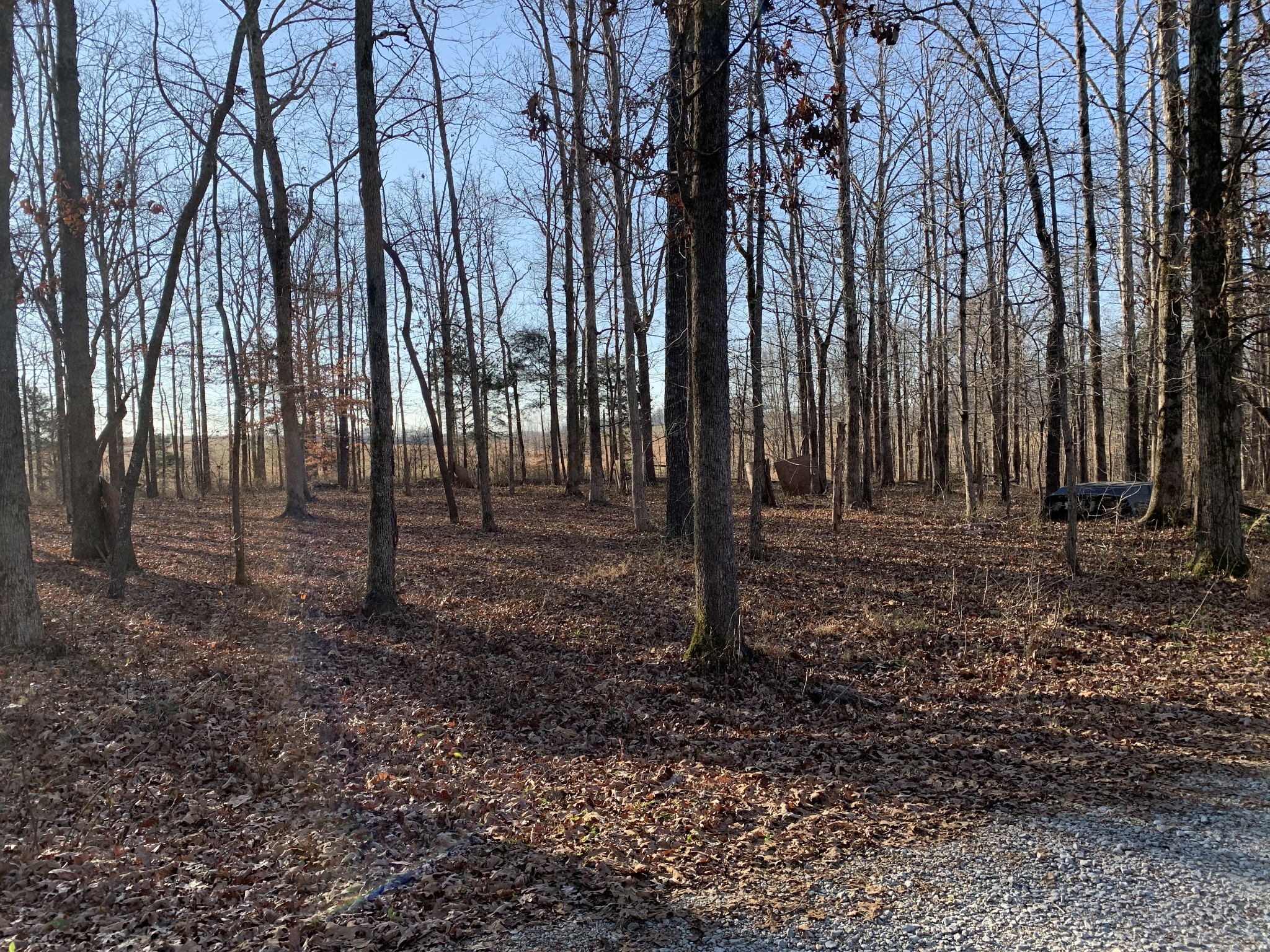 3660 Natural Bridge Road Waynesboro, TN 38485 - Photo 40 of 42 Gallery Image 40