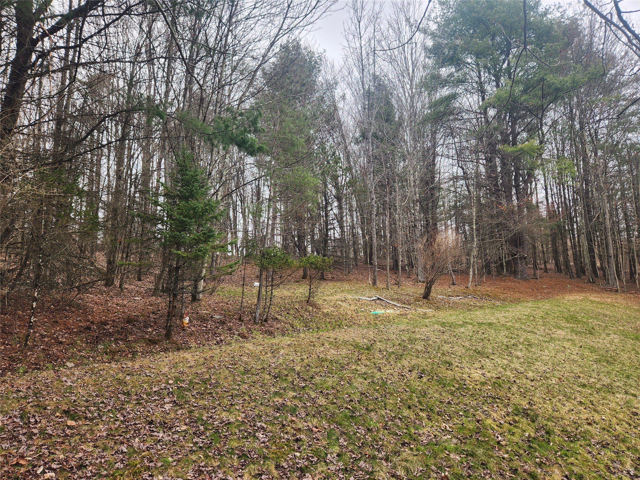245 Powderhouse Road Vestal, NY 13850 - Photo 32 of 43