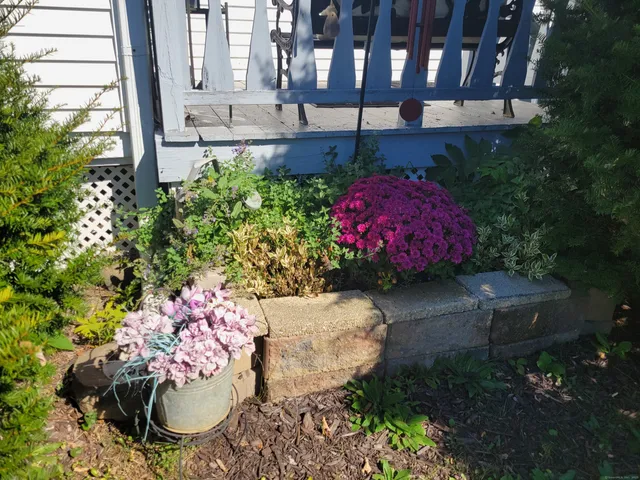 a view of a backyard of the house
