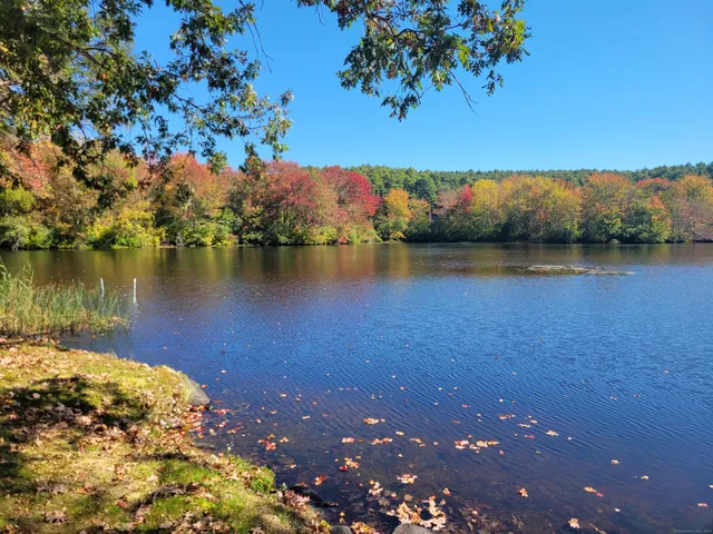 a view of a lake with houses in the background