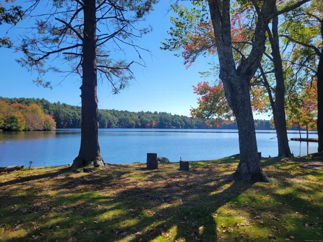 a view of a lake with a tree