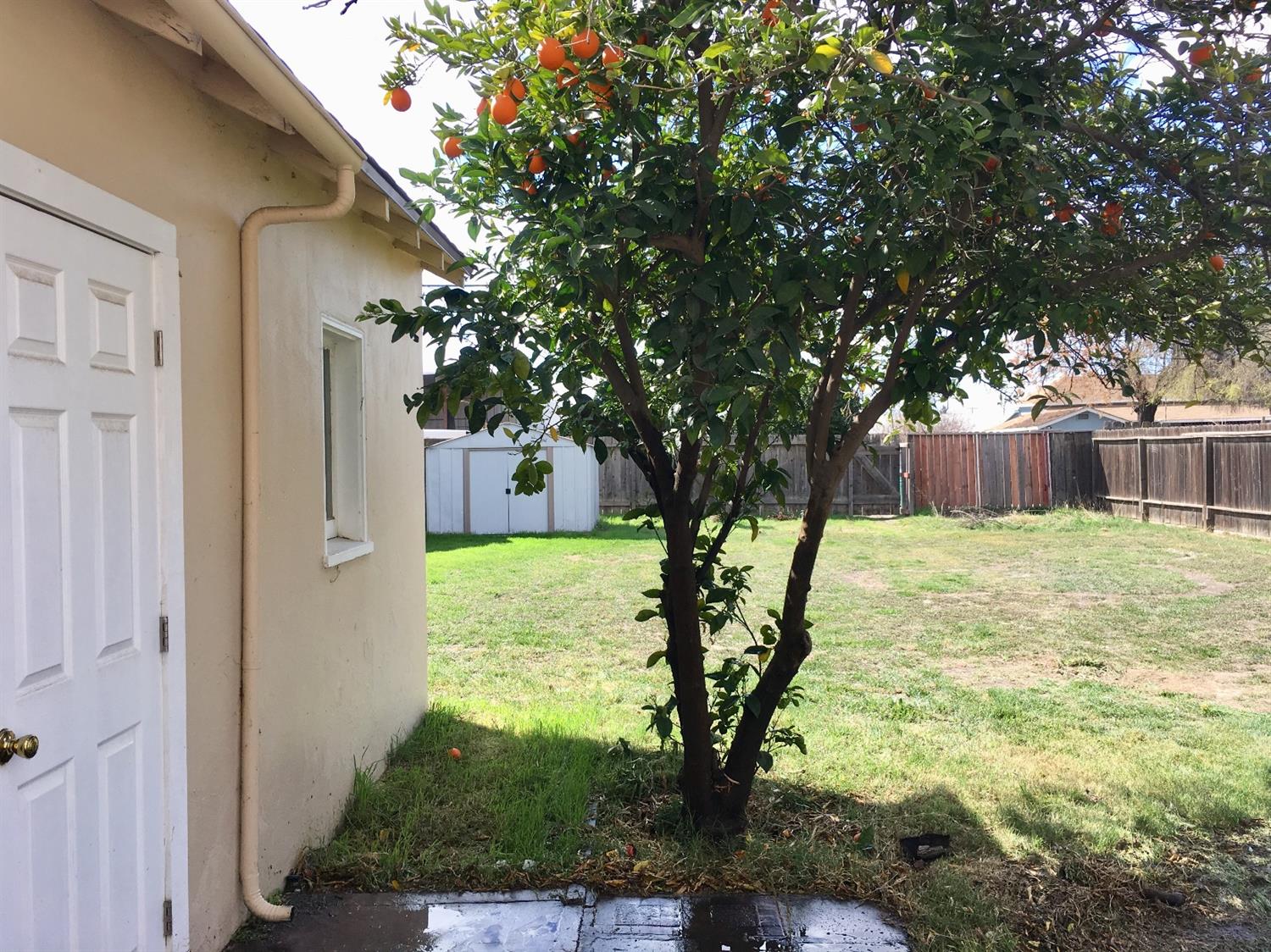 1429 F Street Reedley, CA 93654 - Photo 19 of 20