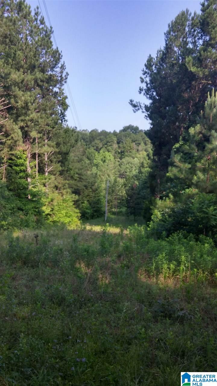 1055 Lynnwood Road Sylacauga, AL 35150 - Photo 23 of 28