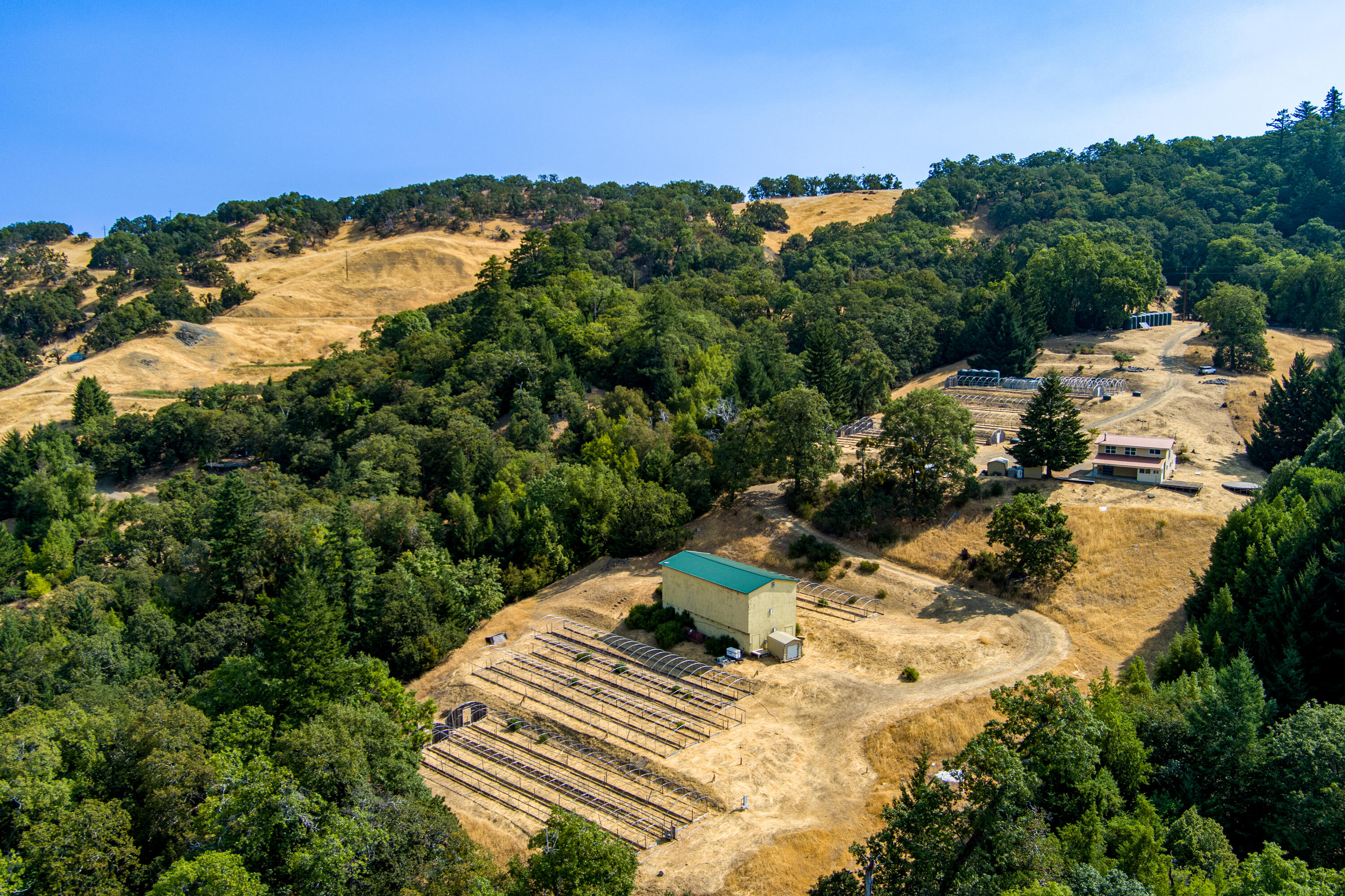 26092 Dyerville Loop Road Garberville, CA 95542 - Photo 3 of 74