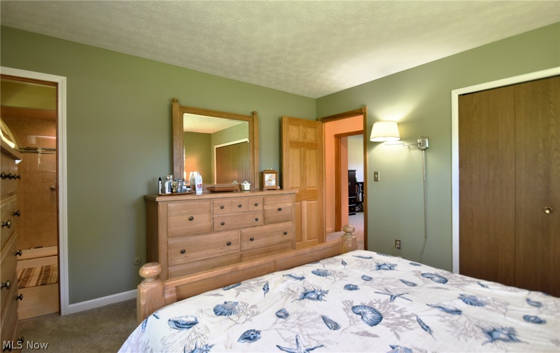 8913 Johnnycake Ridge Road Mentor, OH 44060 - Photo 26 of 50 Primary bedroom
