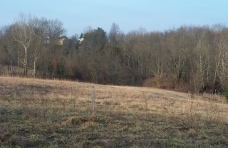 93 Tatum Road Pendleton, KY 40055 - Photo 1 of 1 Primary Photo
