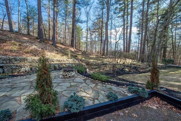 a view of a backyard with large trees
