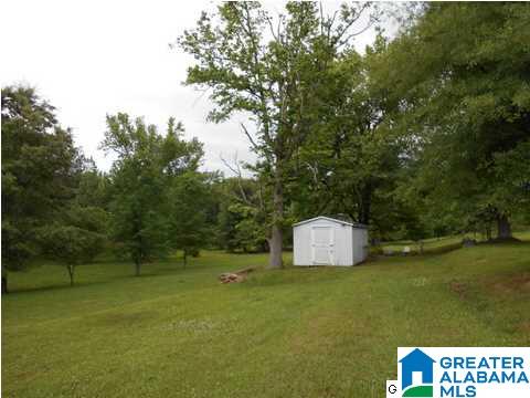 655 Wilson Chapel Road Oneonta, AL 35121 - Photo 5 of 10
