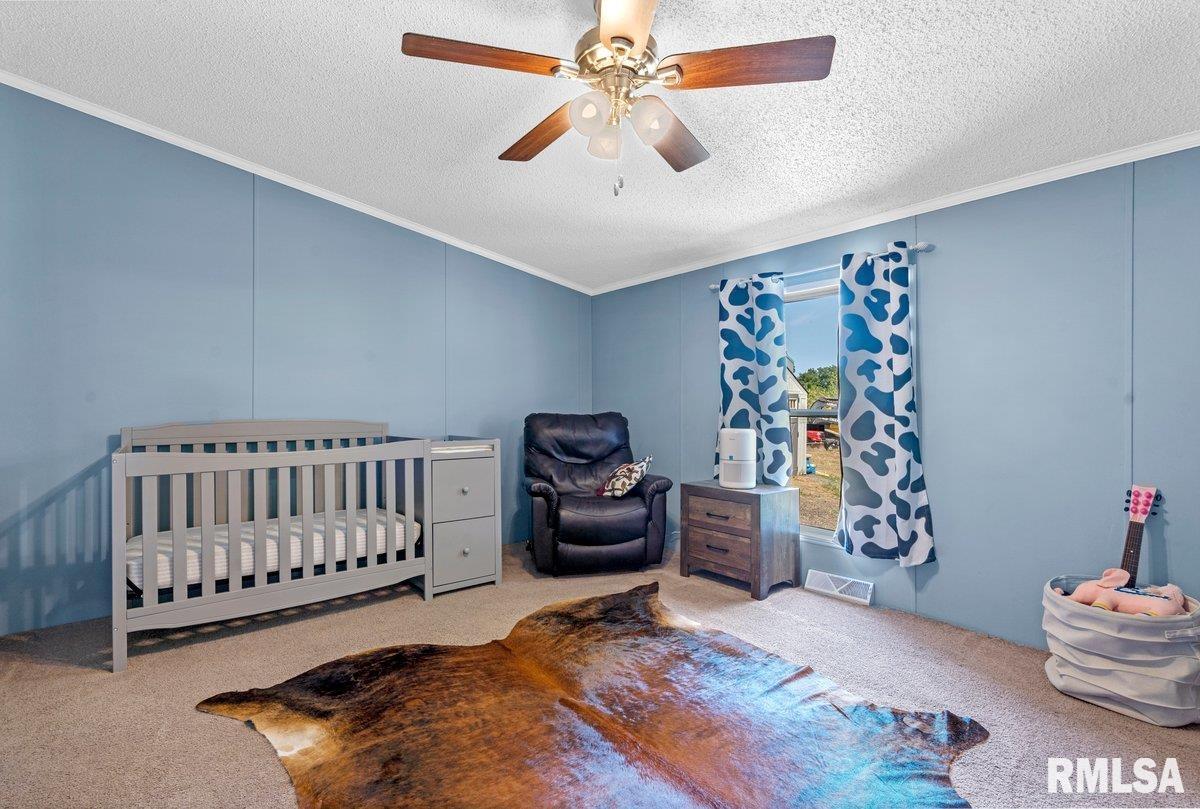 4134 North 8th Street Springfield, IL 62707 - Photo 28 of 60