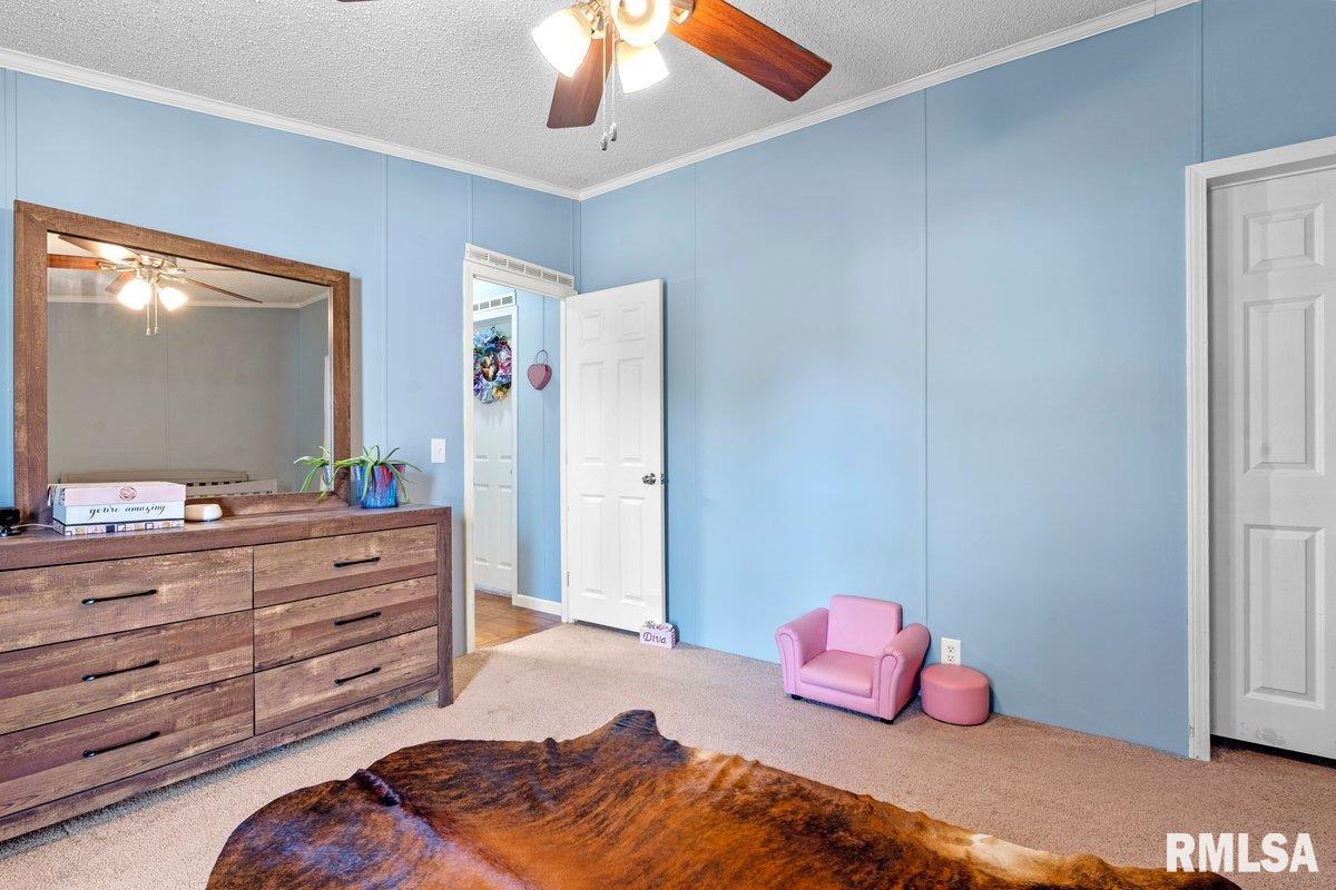 4134 North 8th Street Springfield, IL 62707 - Photo 29 of 60