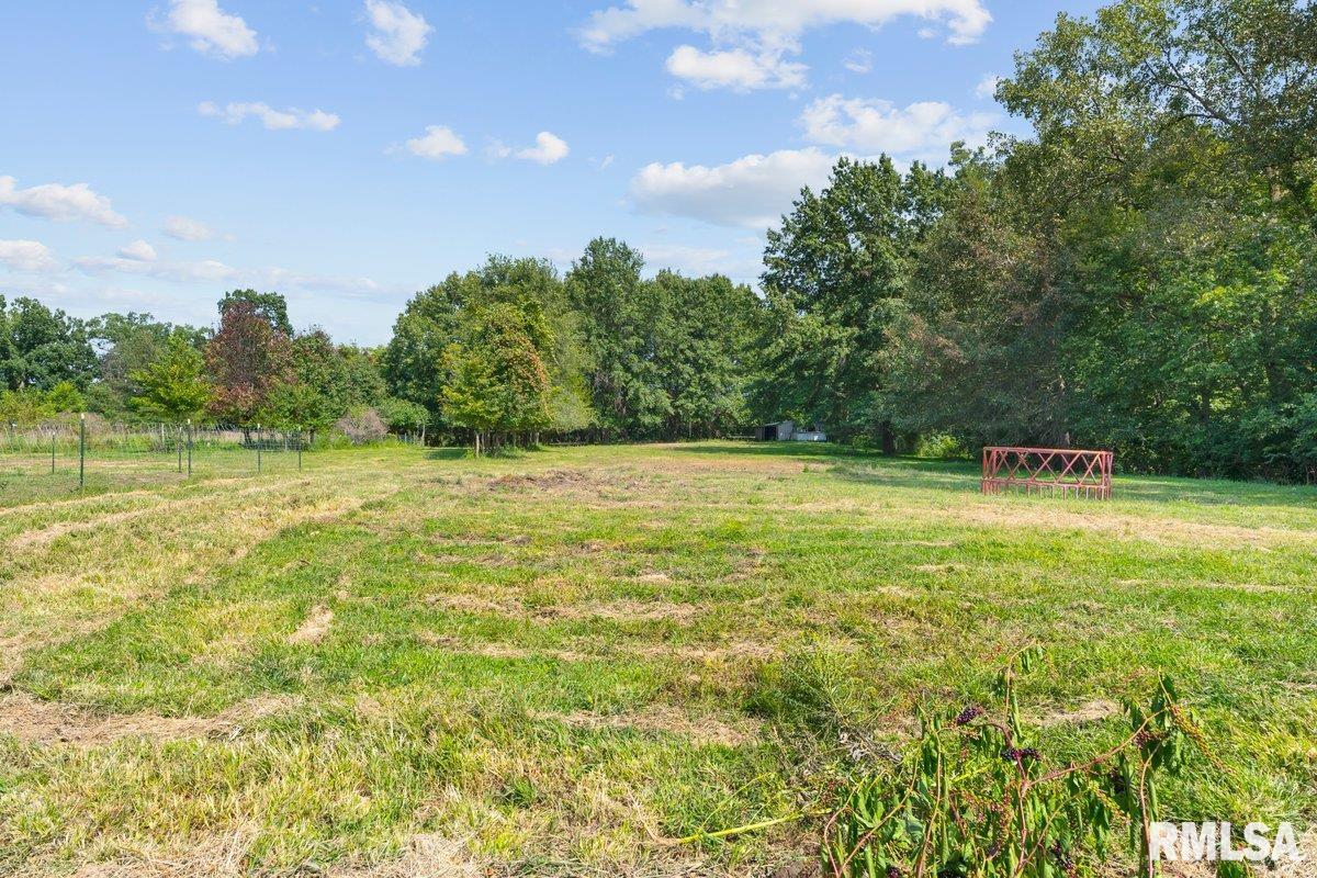 4134 North 8th Street Springfield, IL 62707 - Photo 39 of 60