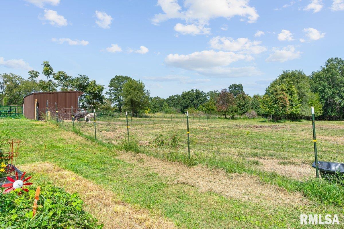 4134 North 8th Street Springfield, IL 62707 - Photo 40 of 60