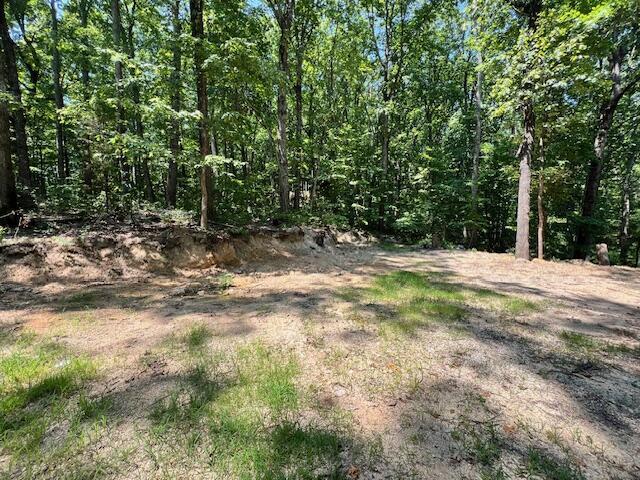 322 Baggett Road Ringgold, GA 30736 - Photo 2 of 18 IMG_1933