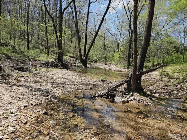 $1,895,000 | 205 County Road 6550, Salem, MO 65560
